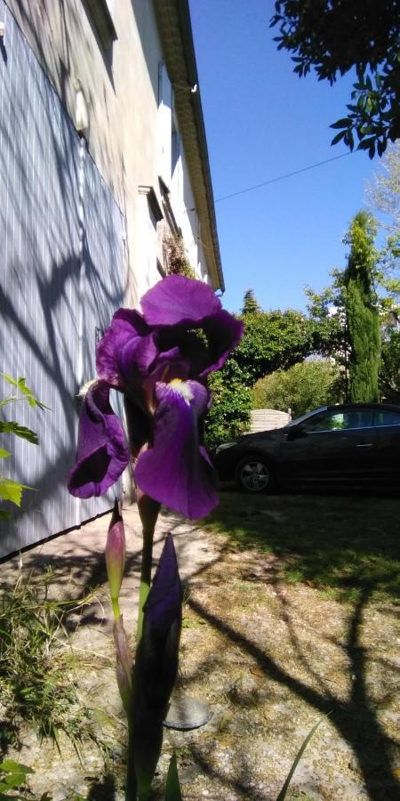 Le Mas Des Dames Appartement Avignon Exterior foto
